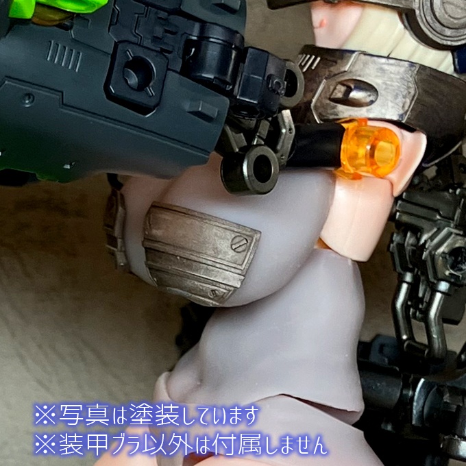 D-runipps オプション 装甲ブラ