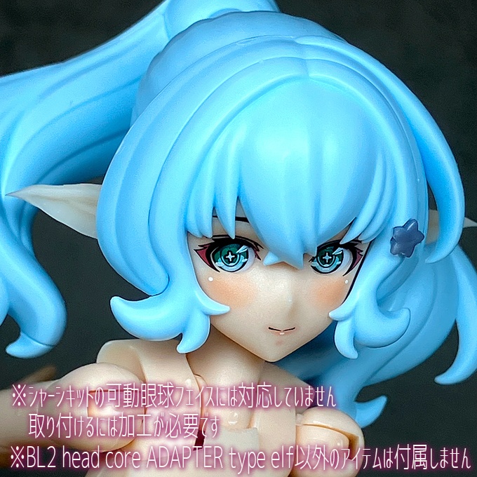 BL2 head core ADAPTER type elf