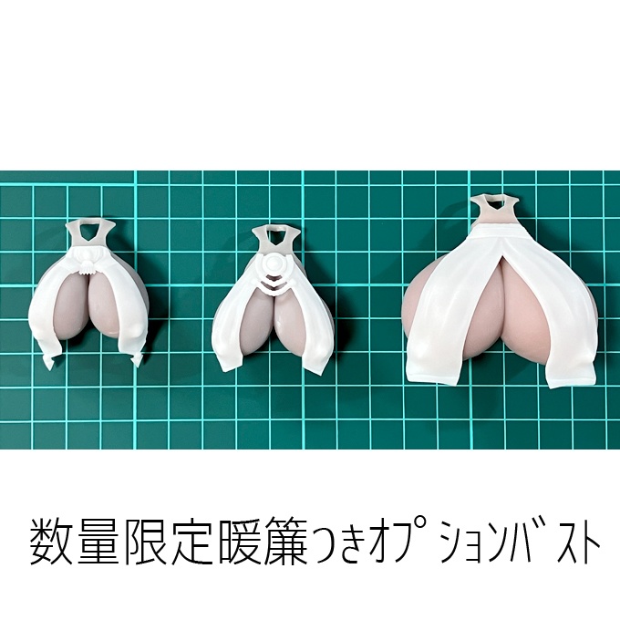 数量限定暖簾つきオプションバスト