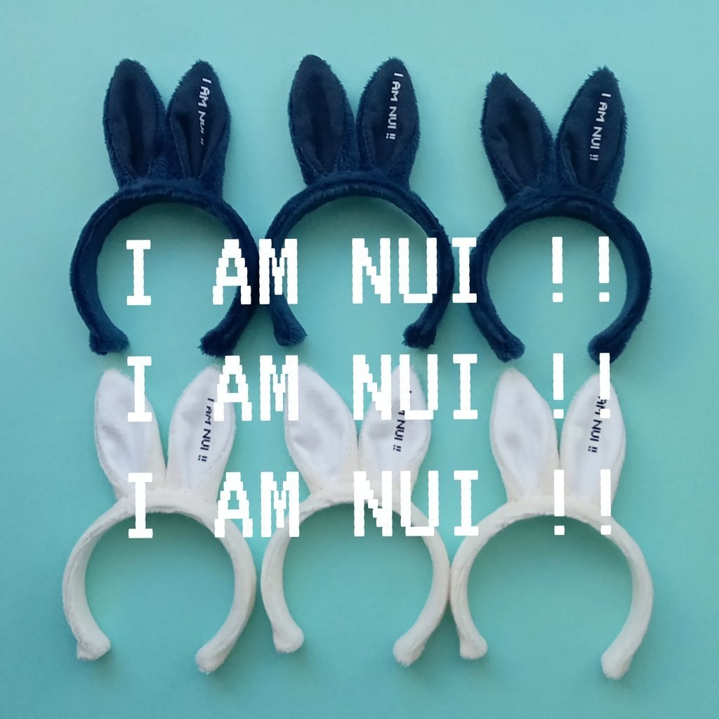 バニーちゃんカチューシャ【I AM NUI !!】