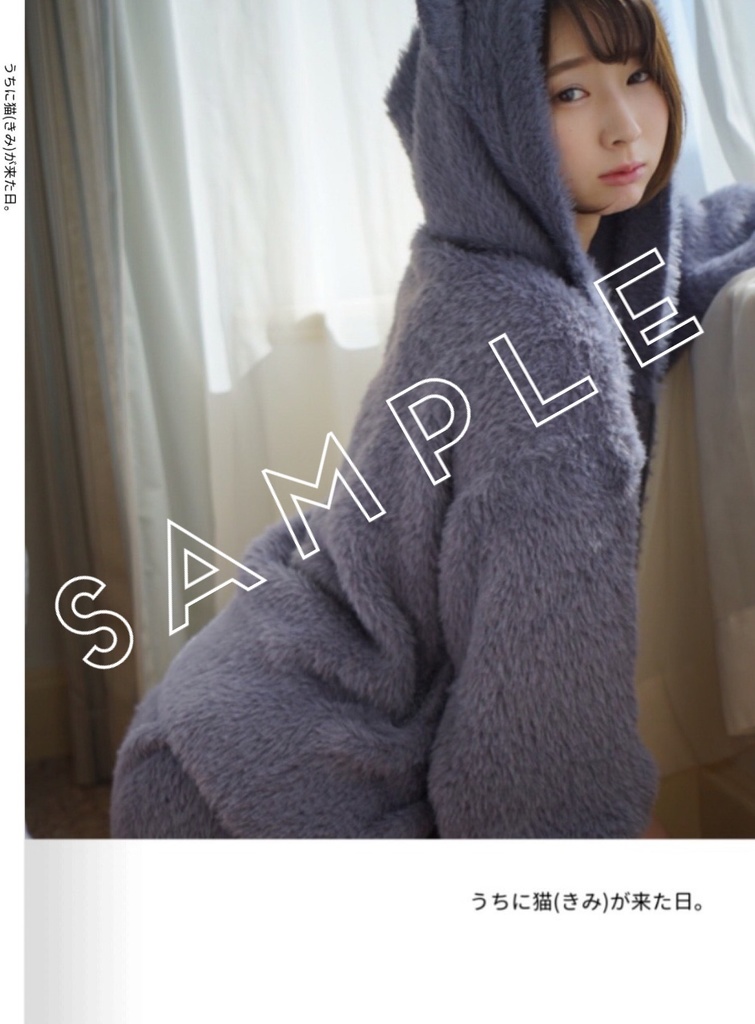 『うちに猫(きみ)が来た日。』Book