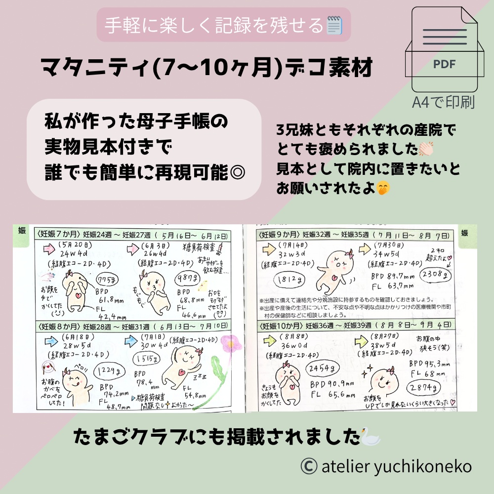 【3種セット】母子手帳・マタニティ(3ヶ月〜10ヶ月)男の子🚘女の子🎀