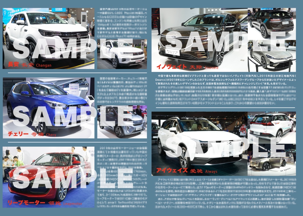 中国自動車ガイドブック2020+