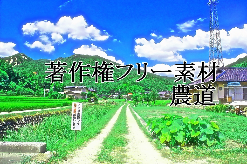 著作権フリー素材（農道）