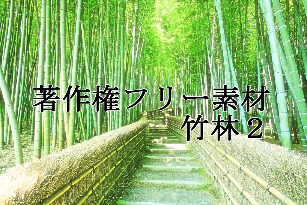 著作権フリー素材（竹林２）