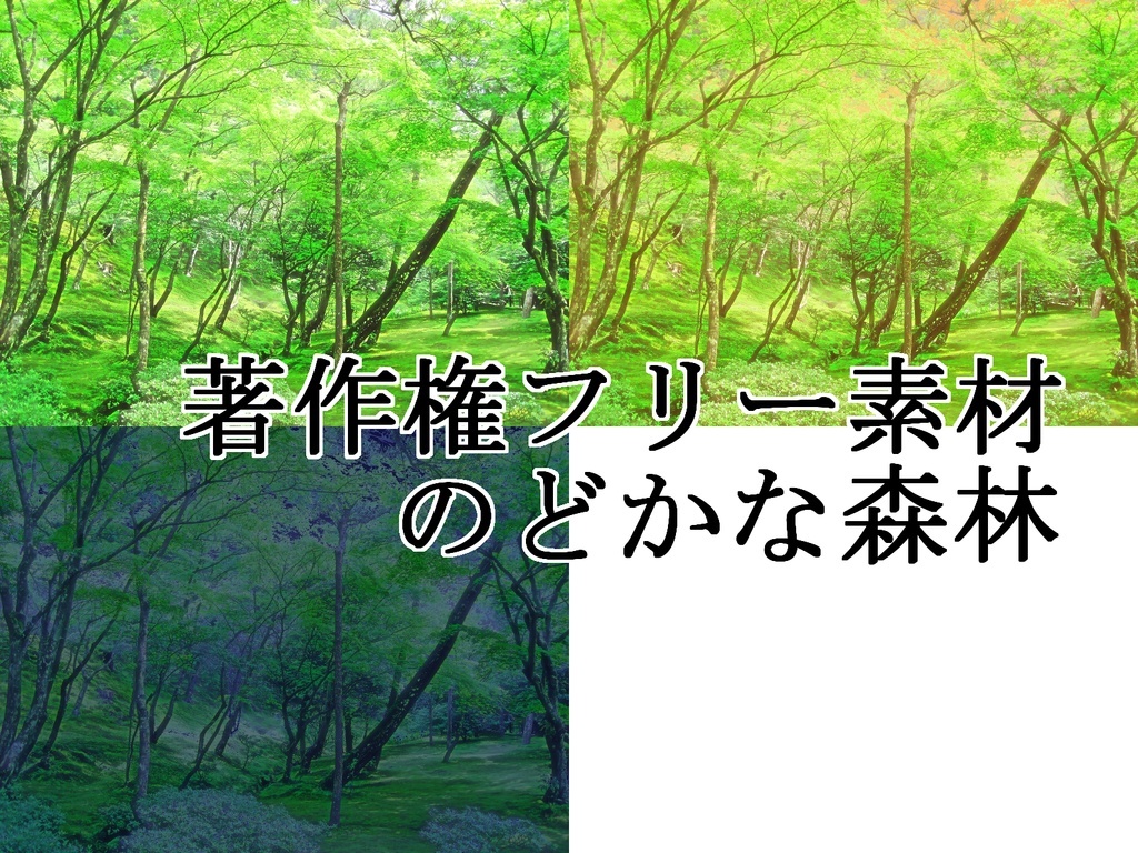 著作権フリー素材（のどかな森林）