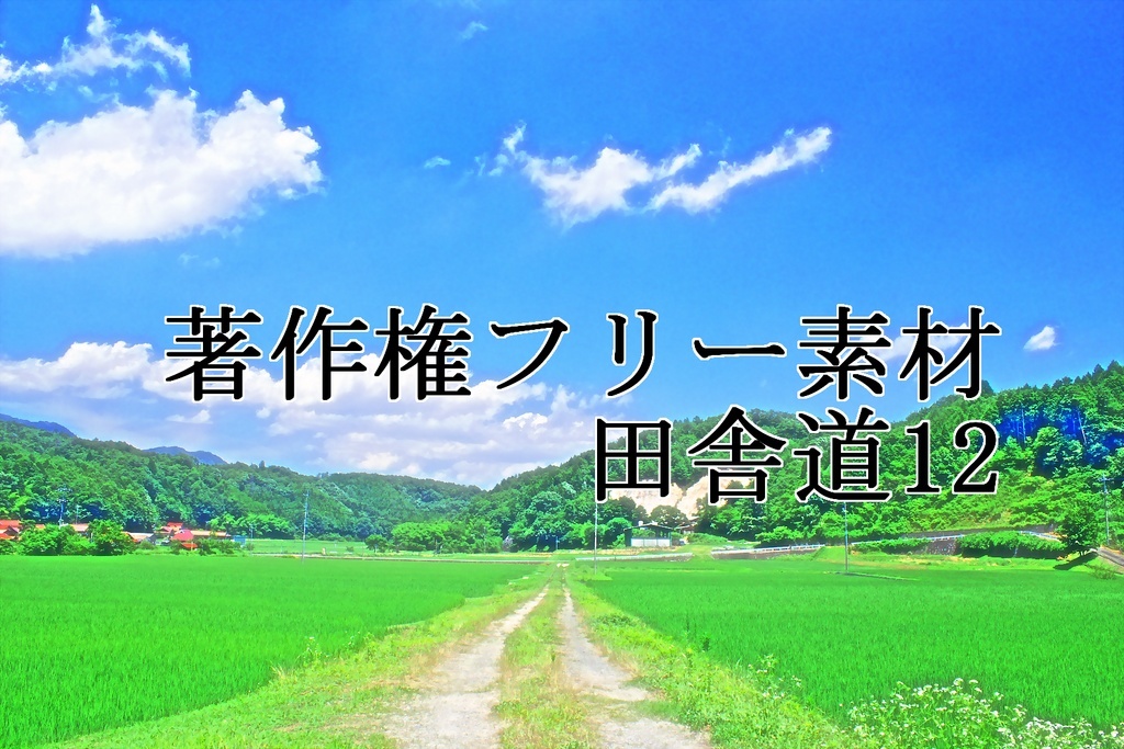 著作権フリー素材（田舎道12）
