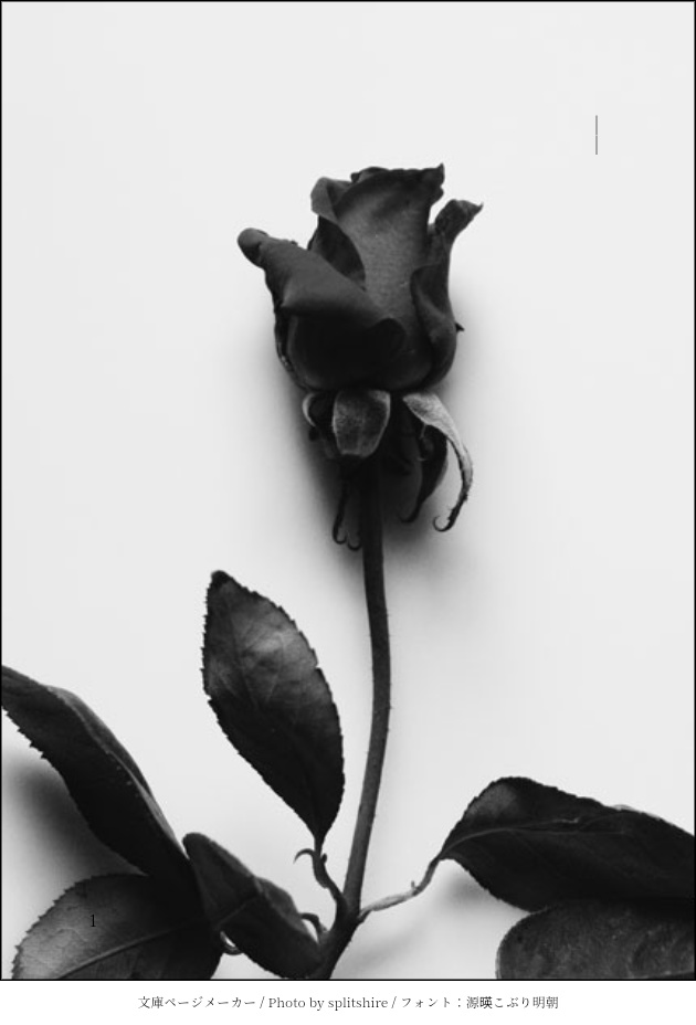 クラスメイト シャーマンキング