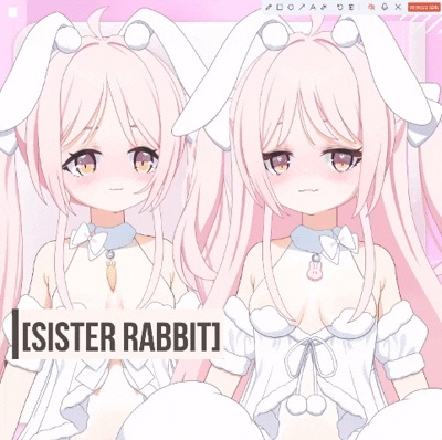 【 汎用モデル】 ウサギ姉妹【VTS対応/差分9/12種】