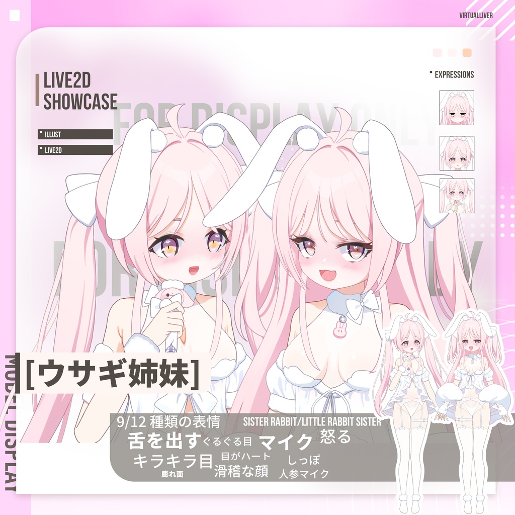【 汎用モデル】 ウサギ姉妹【VTS対応/差分9/12種】 