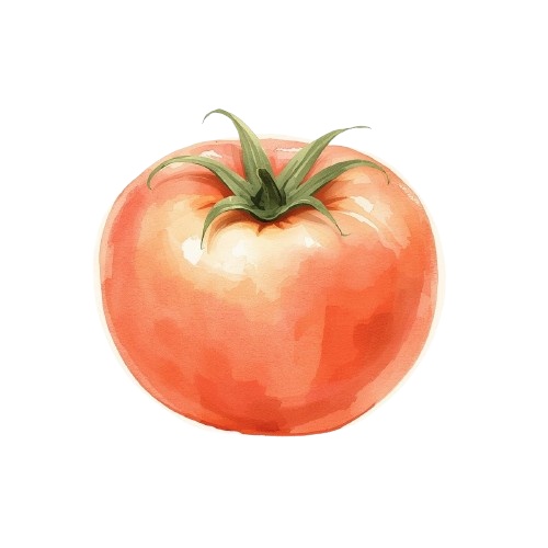 水彩画風 アンティークかわいい野菜クリップアート(PNG形式・背景透過)