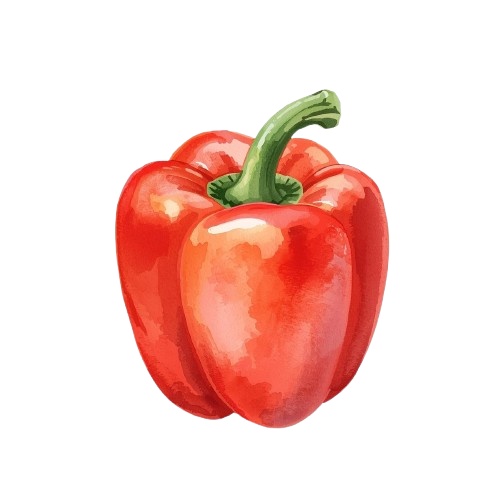 水彩画風 アンティークかわいい野菜クリップアート(PNG形式・背景透過)