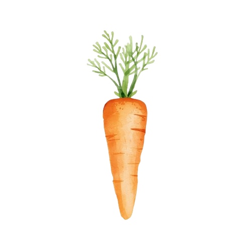 水彩画風 アンティークかわいい野菜クリップアート(PNG形式・背景透過)