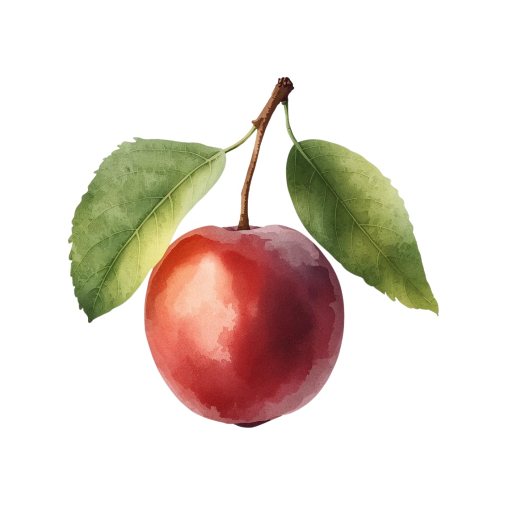 アンティーク水彩画風 かわいい果物クリップアート素材集 第2弾(12種類)