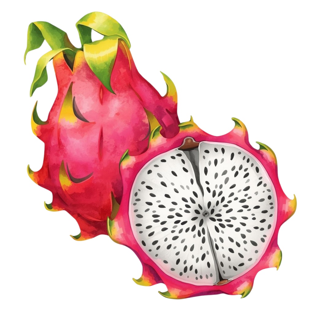 アンティーク水彩画風 かわいい果物クリップアート素材集 第2弾(12種類)