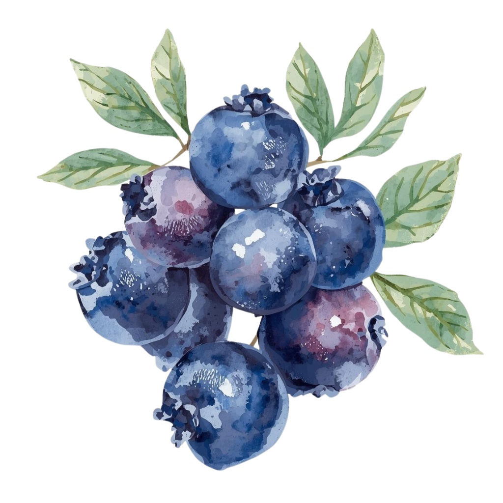 アンティーク水彩画風 かわいい果物クリップアート素材集 第2弾(12種類)