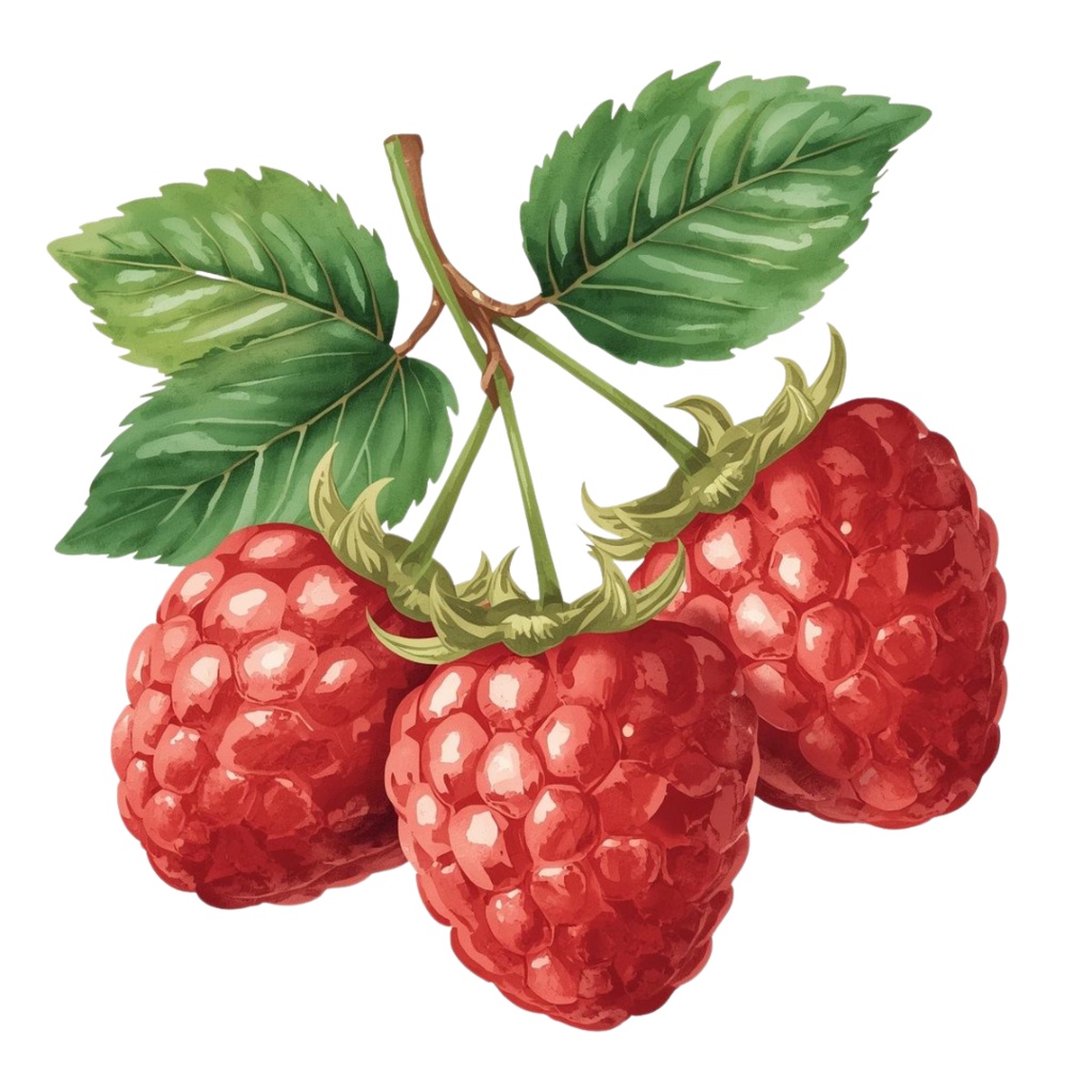 アンティーク水彩画風 かわいい果物クリップアート素材集 第2弾(12種類)