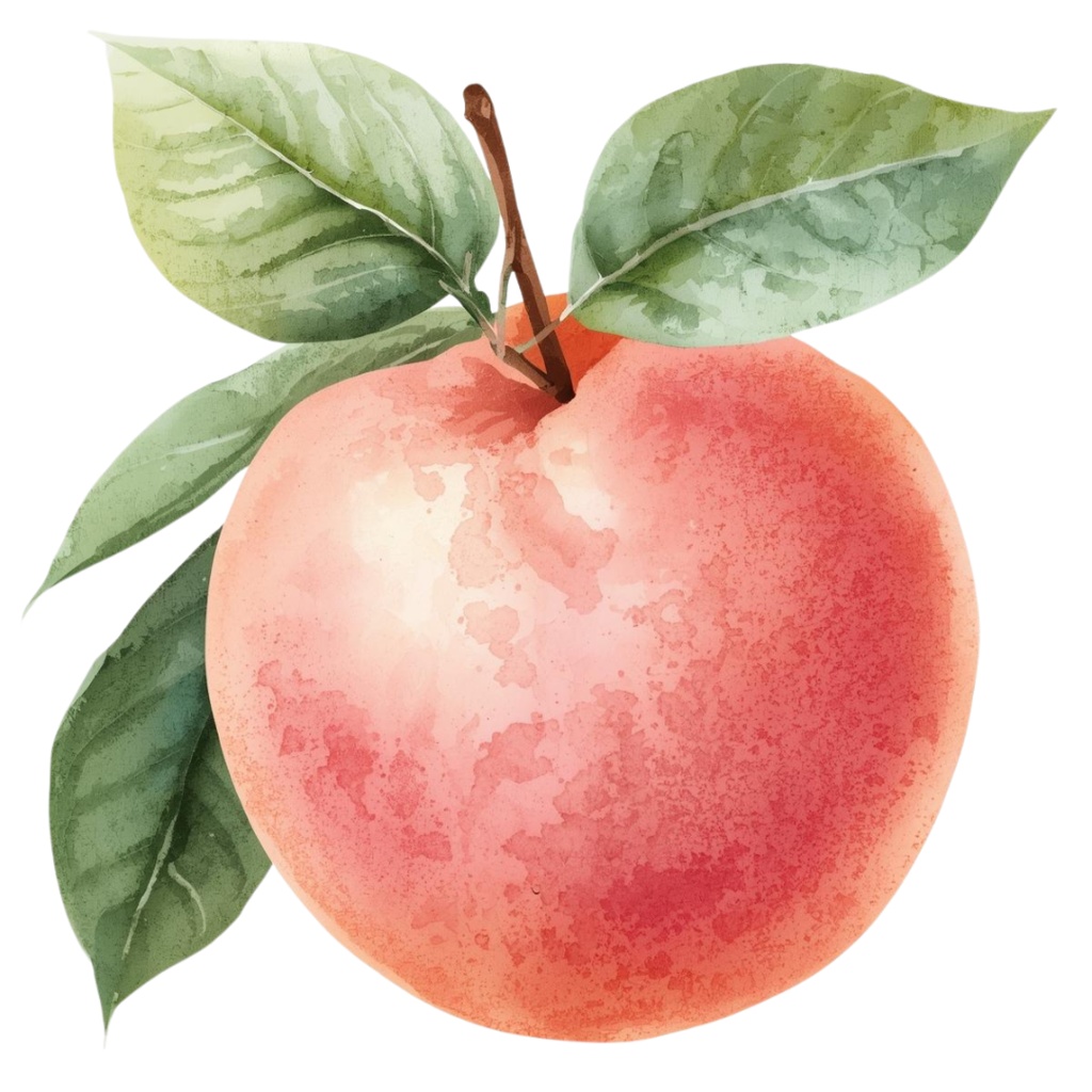 アンティーク水彩画風 かわいい果物クリップアート素材集 第2弾(12種類)