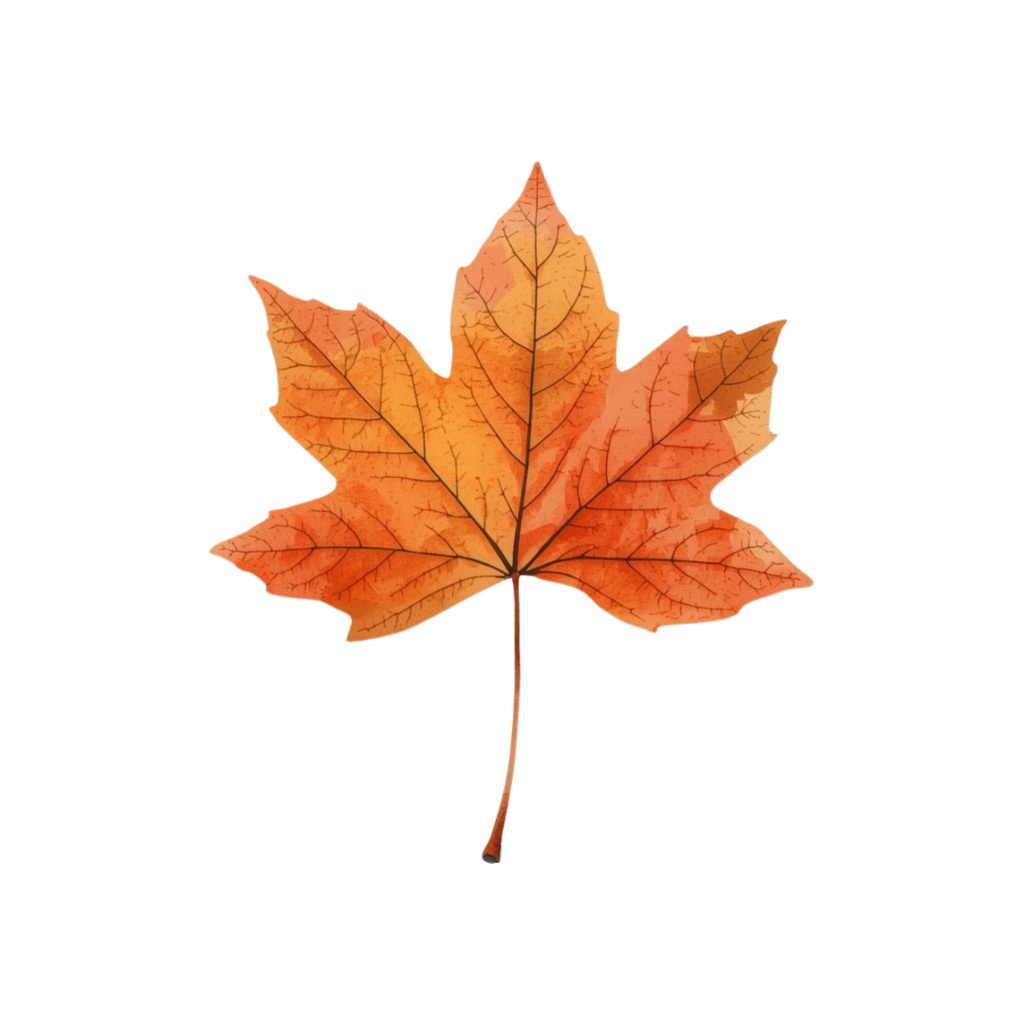 秋のかわいい水彩画クリップアート 15種類セット|Autumn Watercolor Clipart Set – 15 Items