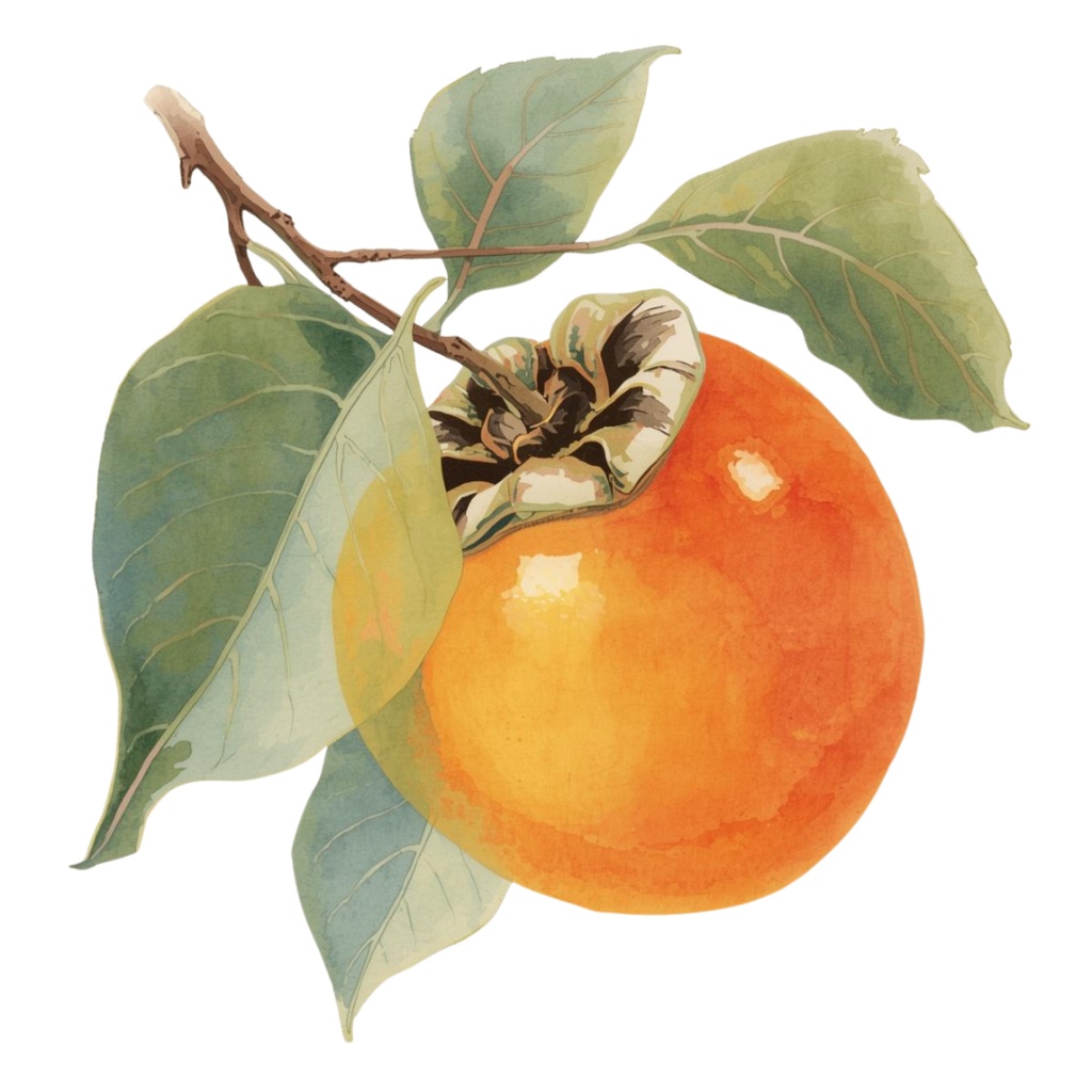 秋のかわいい水彩画クリップアート 15種類セット|Autumn Watercolor Clipart Set – 15 Items