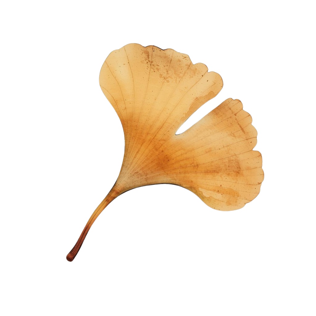 秋のかわいい水彩画クリップアート 15種類セット|Autumn Watercolor Clipart Set – 15 Items