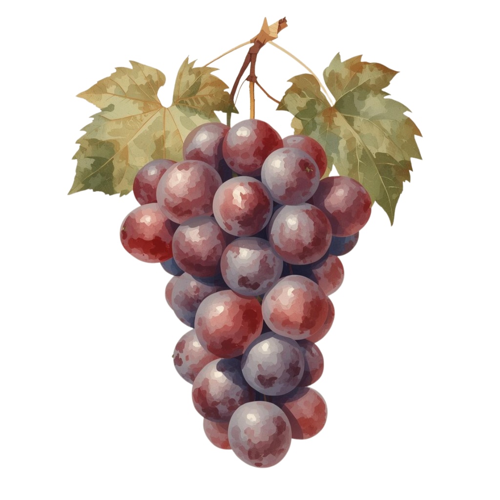 秋のかわいい水彩画クリップアート 15種類セット|Autumn Watercolor Clipart Set – 15 Items