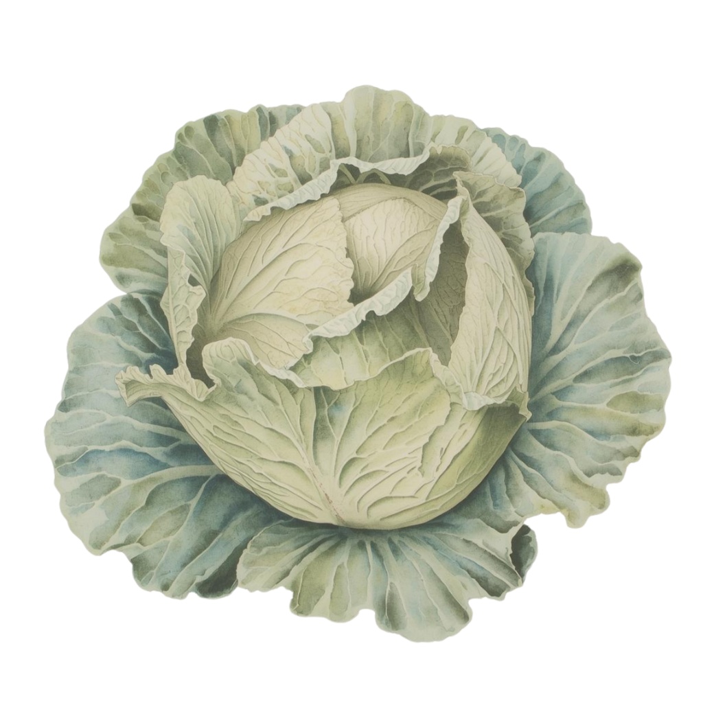 アンティーク風クリップアートセット〈冬の野菜13種類〉 Antique-Style Winter Vegetables Clip Art Collection (13 Items)
