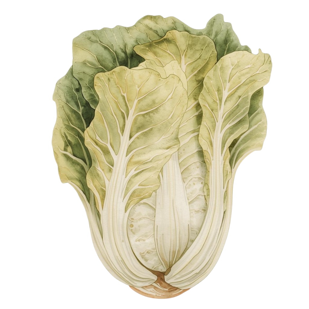 アンティーク風クリップアートセット〈冬の野菜13種類〉 Antique-Style Winter Vegetables Clip Art Collection (13 Items)