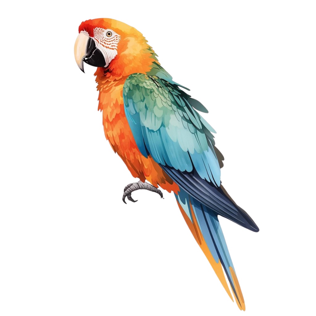 やわらか水彩・森のどうぶつたち クリップアートセット(12種類)