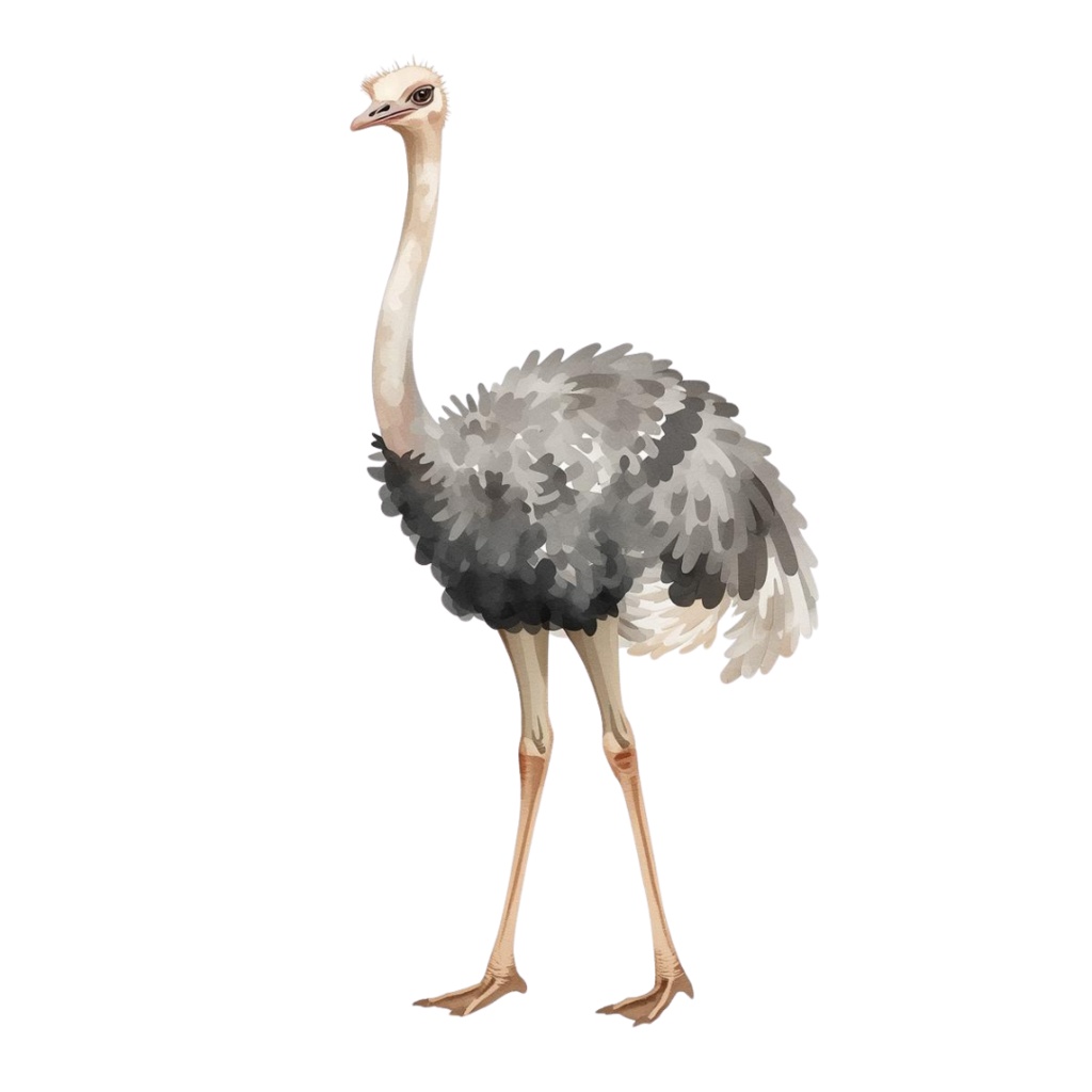 サバンナのどうぶつたちClip Art(12種類)