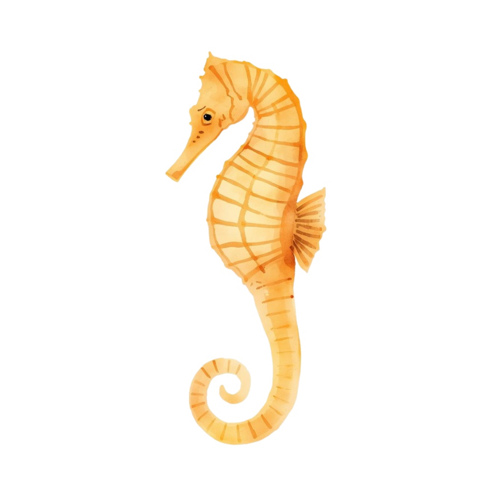 海のなかまたちClip Art(15種類)Friends of the Sea (15 Cliparts)