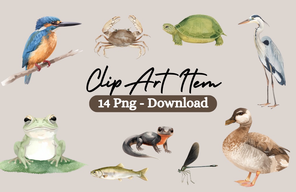 やわらか水彩・川と池のいきものたち（第1弾）14種類セット