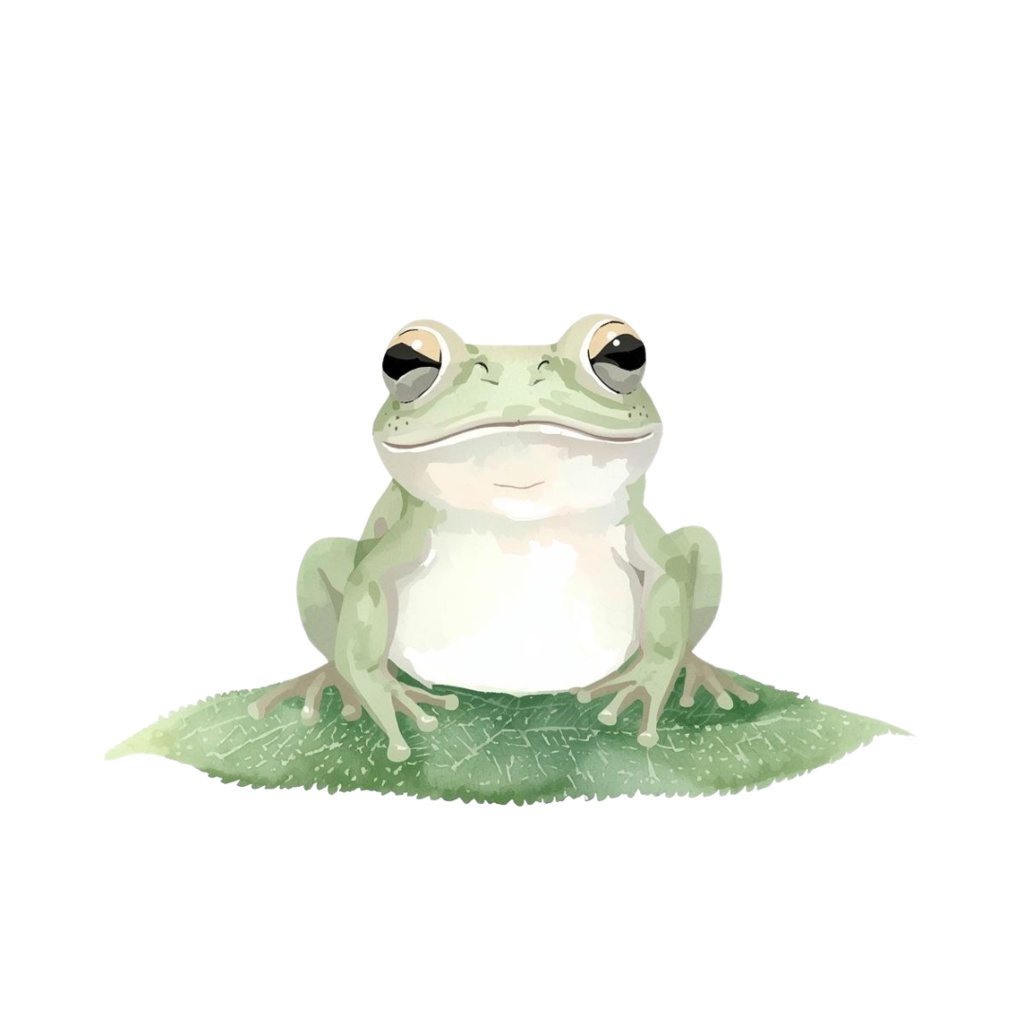 やわらか水彩・川と池のいきものたち(第1弾)14種類セット