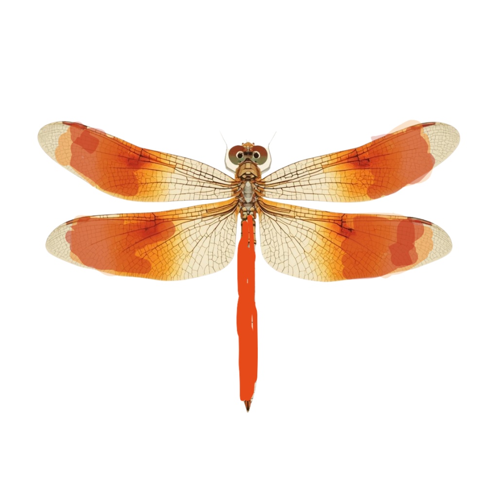 やわらか水彩・川と池のいきものたち(第2弾)13種類セット