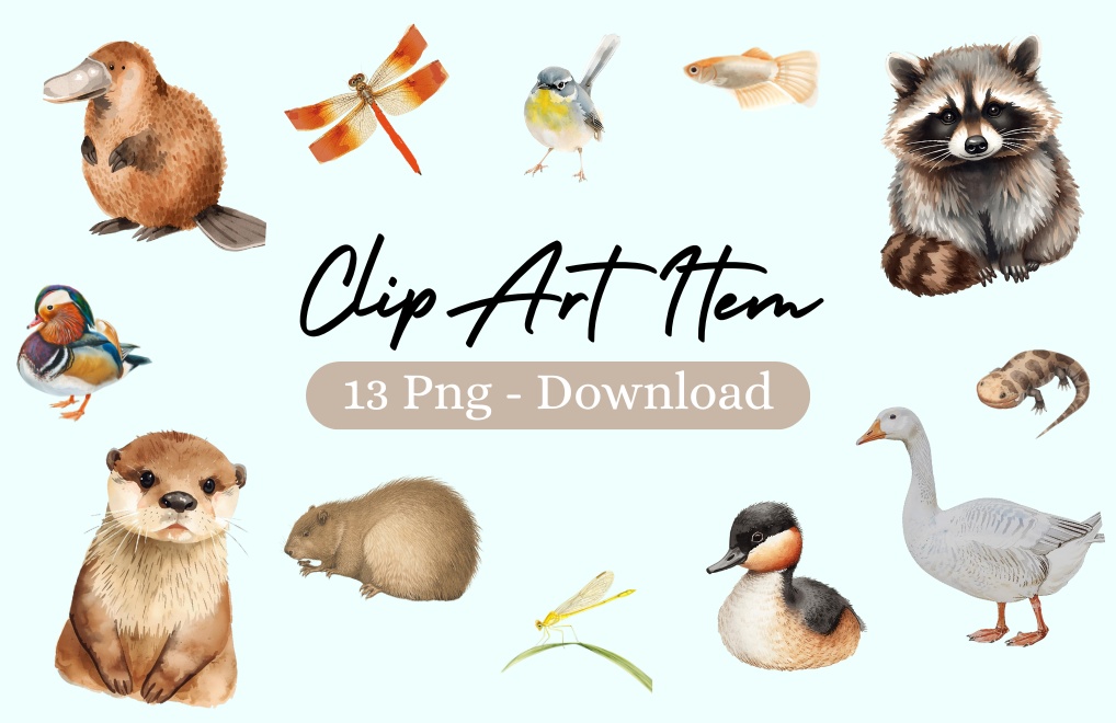 やわらか水彩・川と池のいきものたち（第2弾）13種類セット