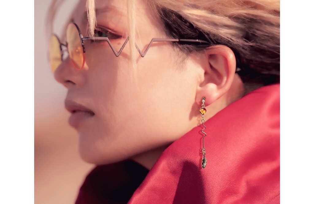 イメージピアス/ヴァッシュ