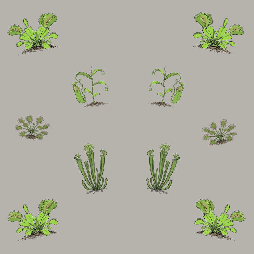 食虫植物　デジタルペーパー