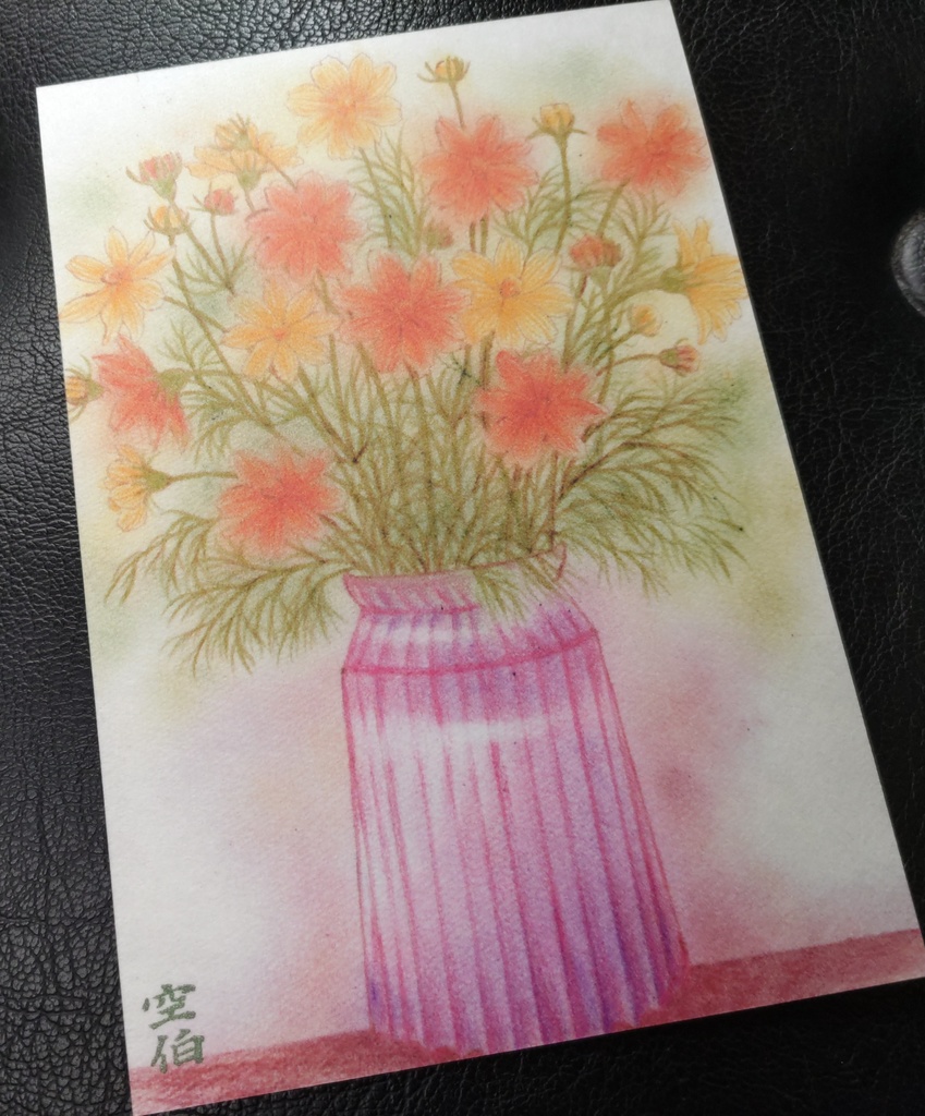 キバナコスモス