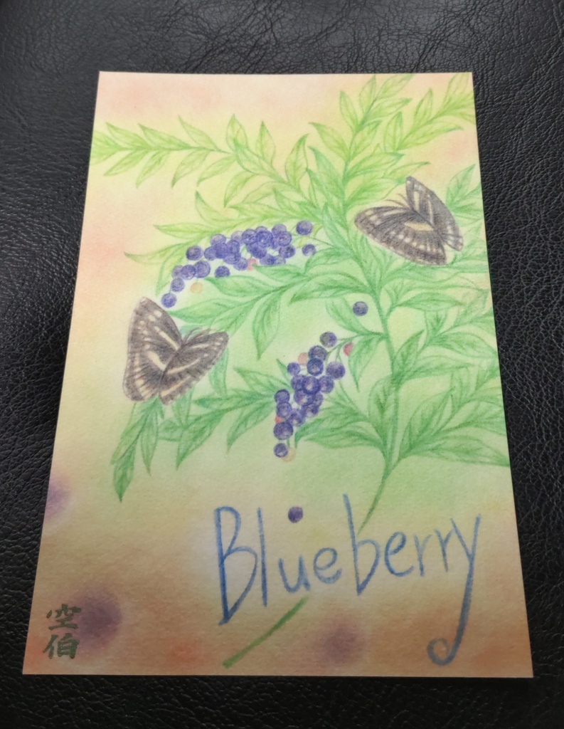 ブルーベリーと蝶