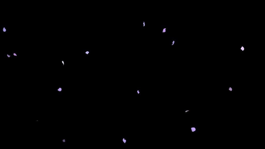 花びらパーティクル 紫 MOV透過素材