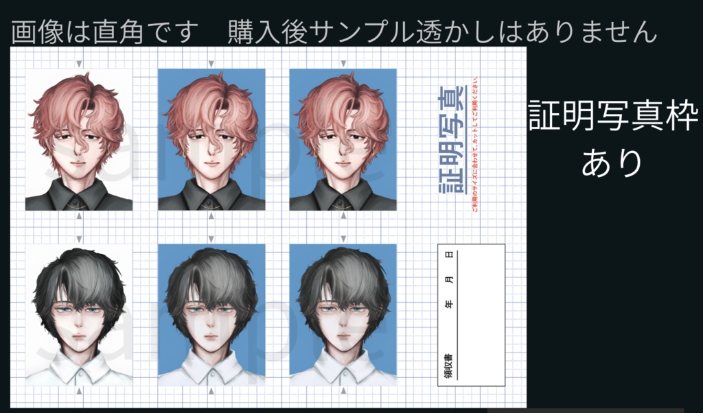 一枚213円【ポストカード】凍愛証明写真風イラスト【マットコート】