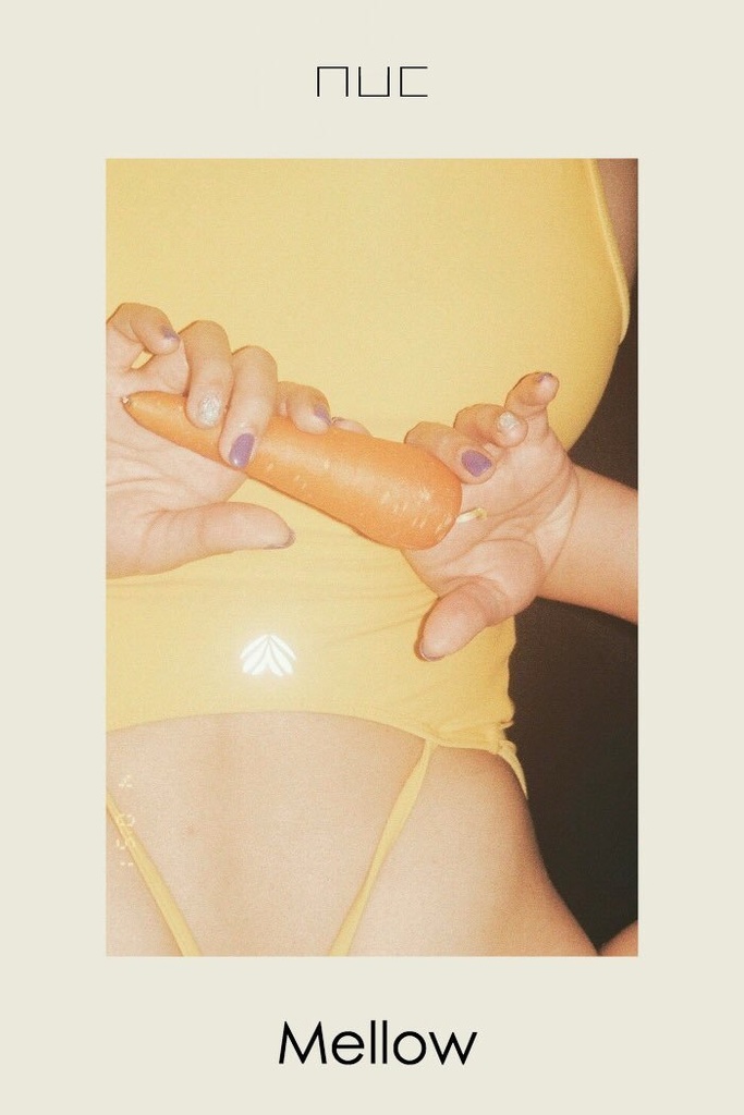 写真集「Mellow」