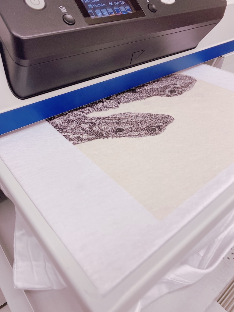 フトアゴTシャツ