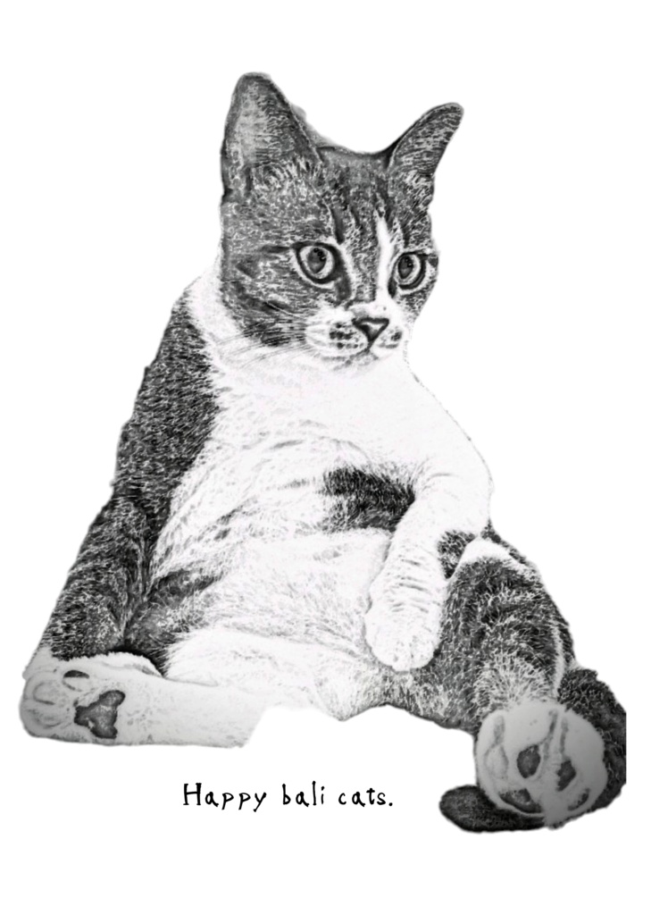 【バリ猫応援】Happy bali cats オリジナルトートバッグS