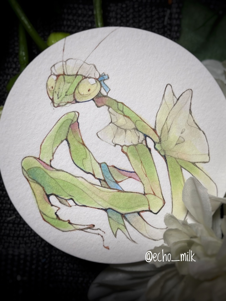 ミニ アナログ原画 「メイドカマキリモドキ」