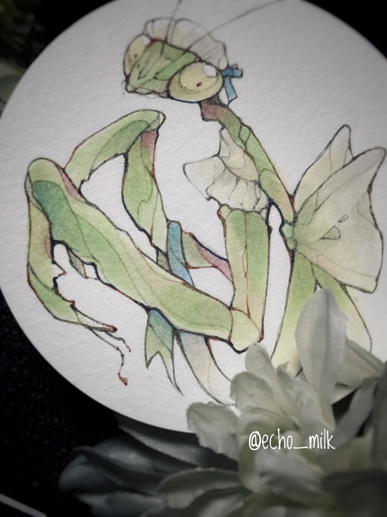 ミニ アナログ原画 「メイドカマキリモドキ」