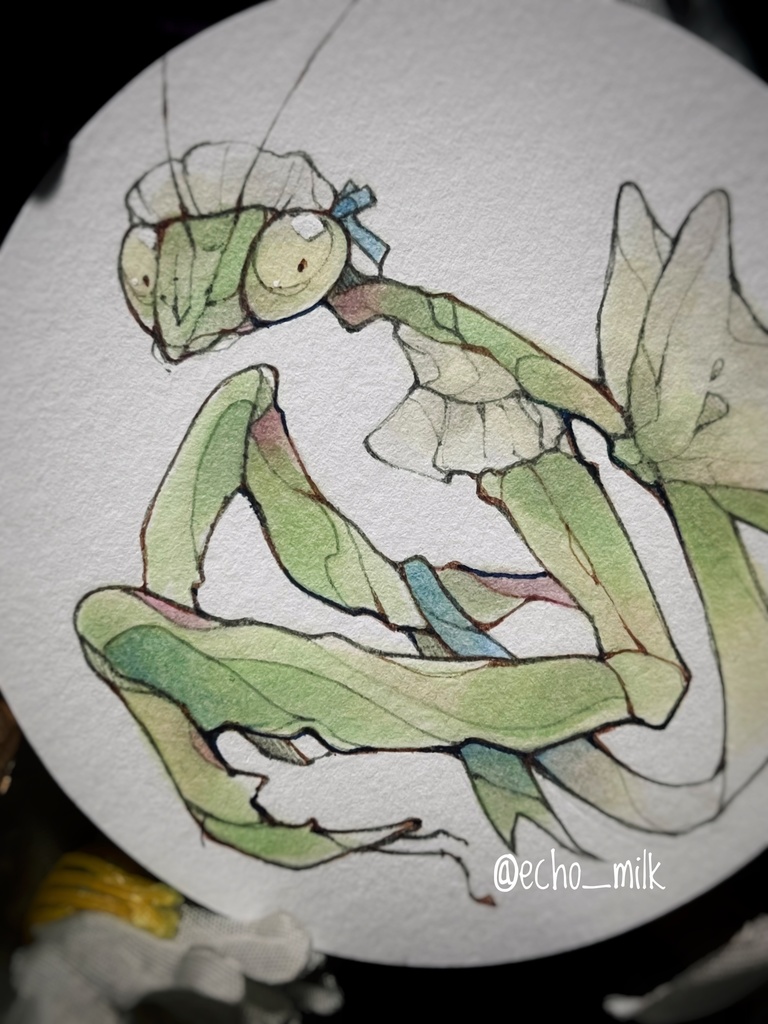 ミニ アナログ原画 「メイドカマキリモドキ」