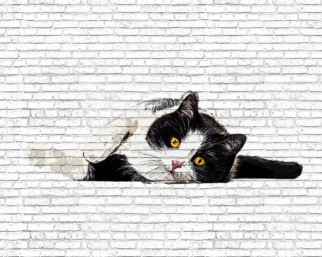 寝転ぶ白黒の猫 - レンガブロック背景