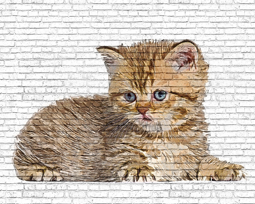 ブリティッシュショートヘアの子猫 - レンガブロック背景