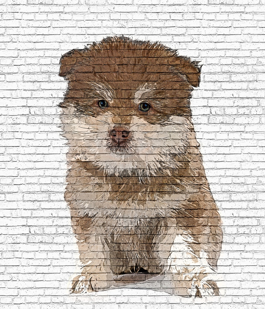 かわいいフィンランドラップフンドの子犬 - レンガブロック背景